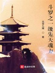 斗羅之一級先天魂力 斗羅之一級先天魂力