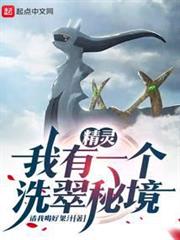 精靈:我有一個洗翠秘境 精靈:我有一個洗翠秘境