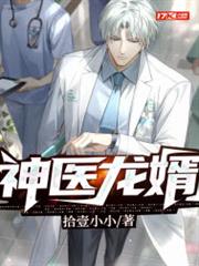 神醫龍婿 神醫龍婿