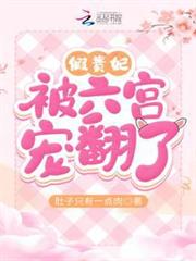 假貴妃被六宮寵翻了 假貴妃被六宮寵翻了