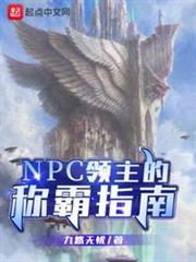 NPC領主的稱霸指南 NPC領主的稱霸指南