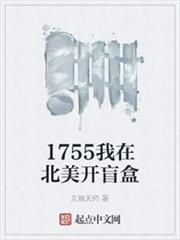 1755我在北美開盲盒