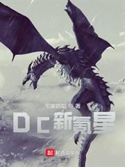 DC新氪星 DC新氪星
