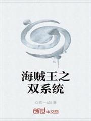 海賊王之雙系統