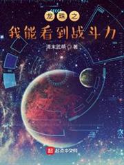 龍珠之我能看到戰鬥力 龍珠之我能看到戰鬥力