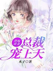 替嫁前妻之總裁寵上天 替嫁前妻之總裁寵上天