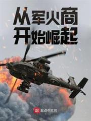 從軍火商開始崛起 從軍火商開始崛起