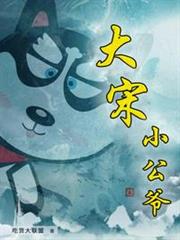 大宋小公爺 大宋小公爺