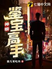 神眼鑒寶高手 神眼鑒寶高手