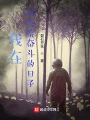 我在四合院奮鬥的日子 我在四合院奮鬥的日子