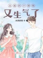 總裁的小撩精又生氣了 總裁的小撩精又生氣了