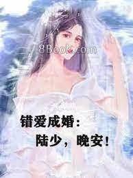錯愛成婚：陸少，晚安！
