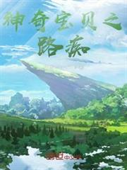神奇寶貝之路痴