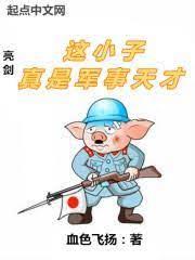 亮劍:這小子真是軍事天才 亮劍:這小子真是軍事天才
