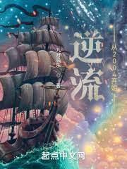 逆流從2004開始 逆流從2004開始