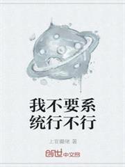 我不要系統行不行 我不要系統行不行