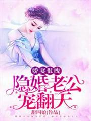 隱婚老公寵翻天 隱婚老公寵翻天