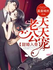 甜婚入骨老公天天寵 甜婚入骨老公天天寵