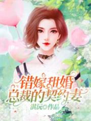 錯嫁甜婚,總裁的契約妻 錯嫁甜婚,總裁的契約妻