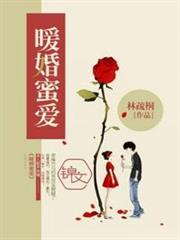 暖婚蜜愛 暖婚蜜愛