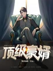 頂級豪婿 頂級豪婿