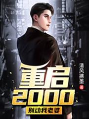 重啟2000,別動我老婆 重啟2000,別動我老婆