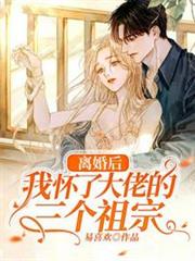 離婚後我懷了大佬的三個祖宗 離婚後我懷了大佬的三個祖宗