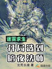 迷霧求生:開局選到暗夜法師 迷霧求生:開局選到暗夜法師