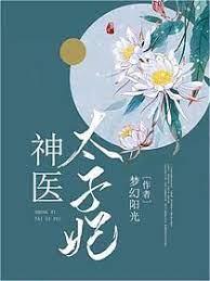 神醫太子妃 神醫太子妃