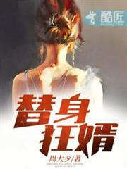 替身狂婿 替身狂婿