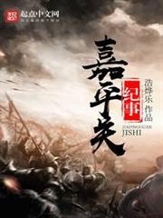 嘉平關紀事 嘉平關紀事