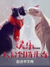 娛樂從撿到貓開始 娛樂從撿到貓開始