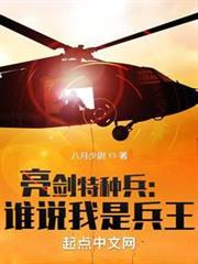 亮劍特種兵:誰說我是兵王 亮劍特種兵:誰說我是兵王