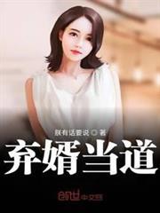 棄婿當道 棄婿當道