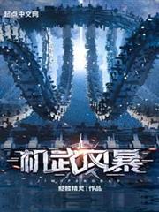 機武風暴 機武風暴