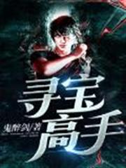 尋寶高手 尋寶高手