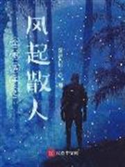 全職高手之風起散人 全職高手之風起散人