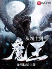 從領主到魔王 從領主到魔王