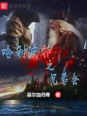 哈利波特之兄弟會