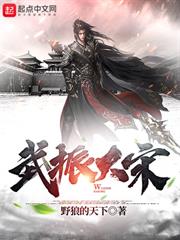 武振大宋 武振大宋