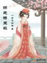 拐走楊玉環 拐走楊玉環