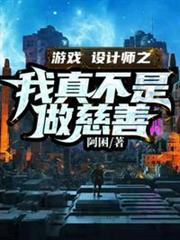 遊戲設計師之我真不是做慈善陳風 遊戲設計師之我真不是做慈善陳風