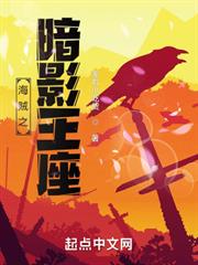 海賊之暗影王座 海賊之暗影王座