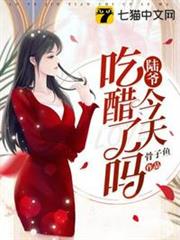 盛晚棠陸霽淵 盛晚棠陸霽淵