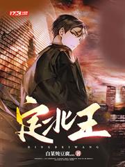 定北王 定北王