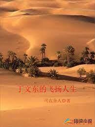 丁文東的飛揚人生 丁文東的飛揚人生