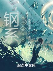 鋼系精靈訓練家 鋼系精靈訓練家
