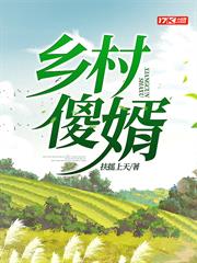鄉村傻婿 鄉村傻婿