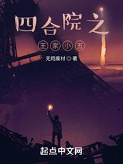 四合院之王家小五 四合院之王家小五