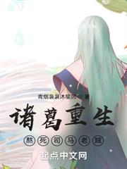 諸葛重生,熬死司馬老賊 諸葛重生,熬死司馬老賊
